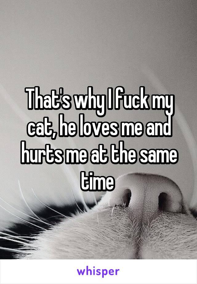 That's why I fuck my cat, he loves me and hurts me at the same time 