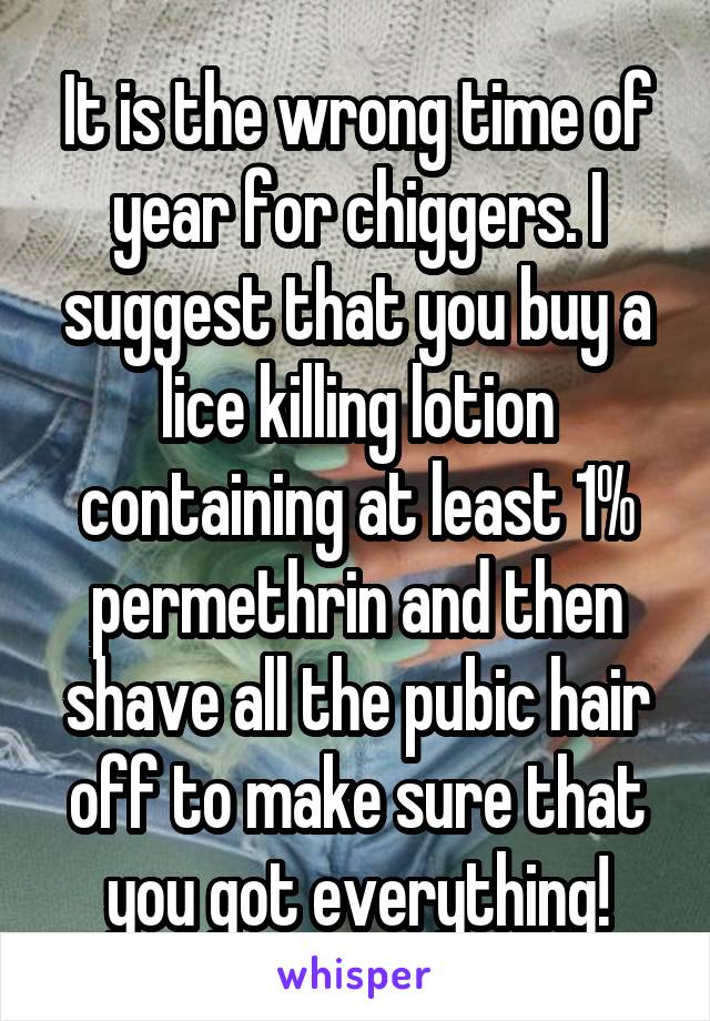 It is the wrong time of year for chiggers. I suggest that you buy a lice killing lotion containing at least 1% permethrin and then shave all the pubic hair off to make sure that you got everything!