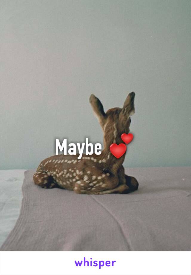 Maybe 💕