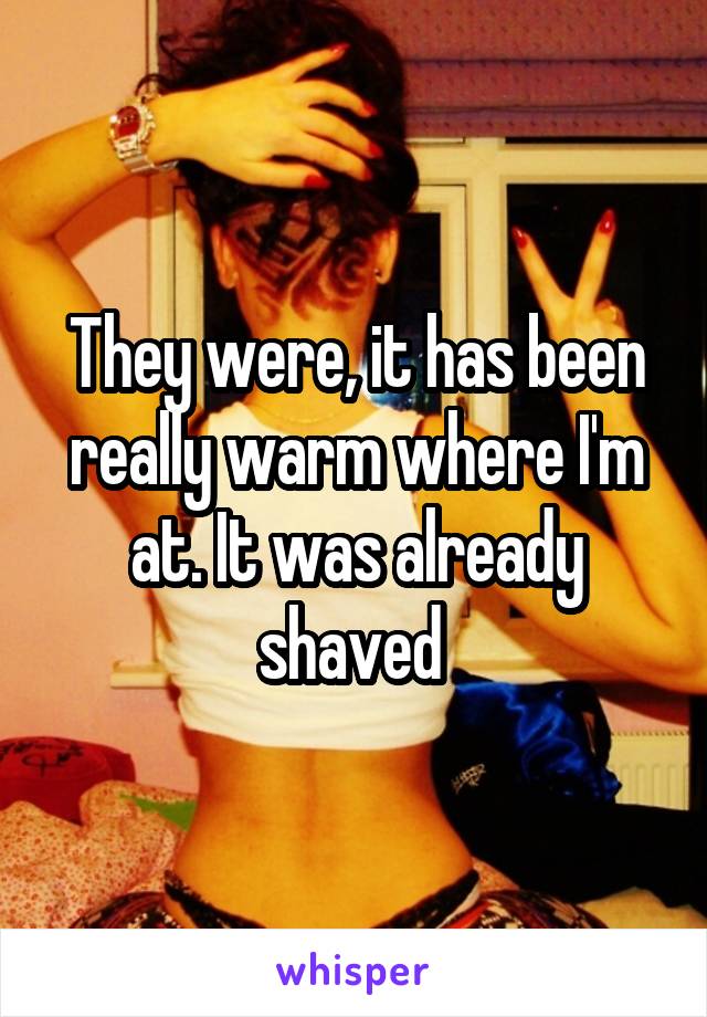They were, it has been really warm where I'm at. It was already shaved 