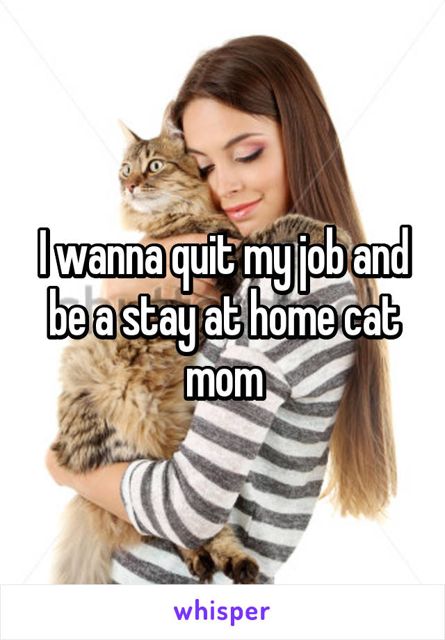 I wanna quit my job and be a stay at home cat mom