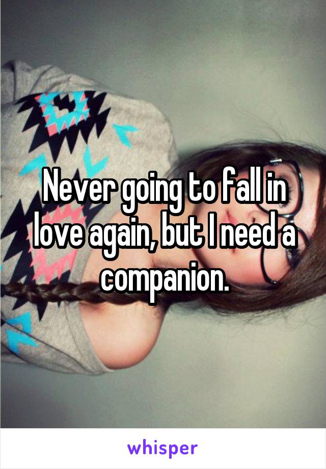 Never going to fall in love again, but I need a companion.