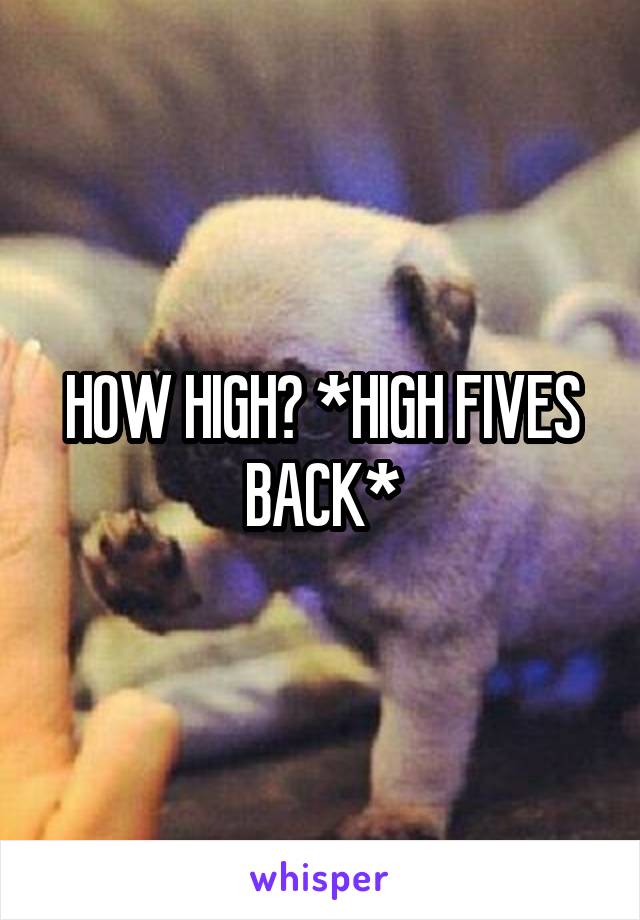 HOW HIGH? *HIGH FIVES BACK*