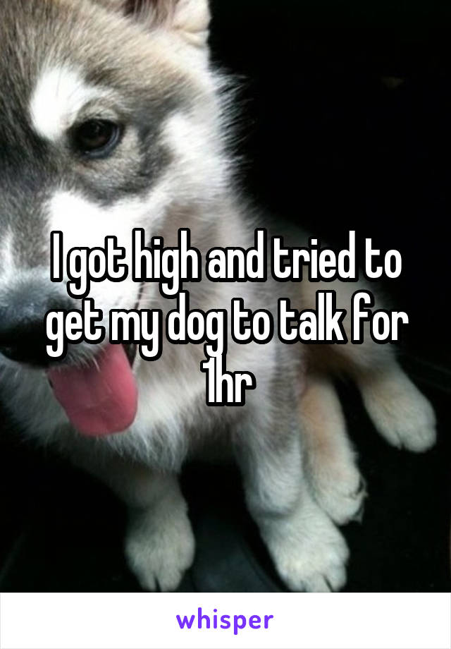 I got high and tried to get my dog to talk for 1hr