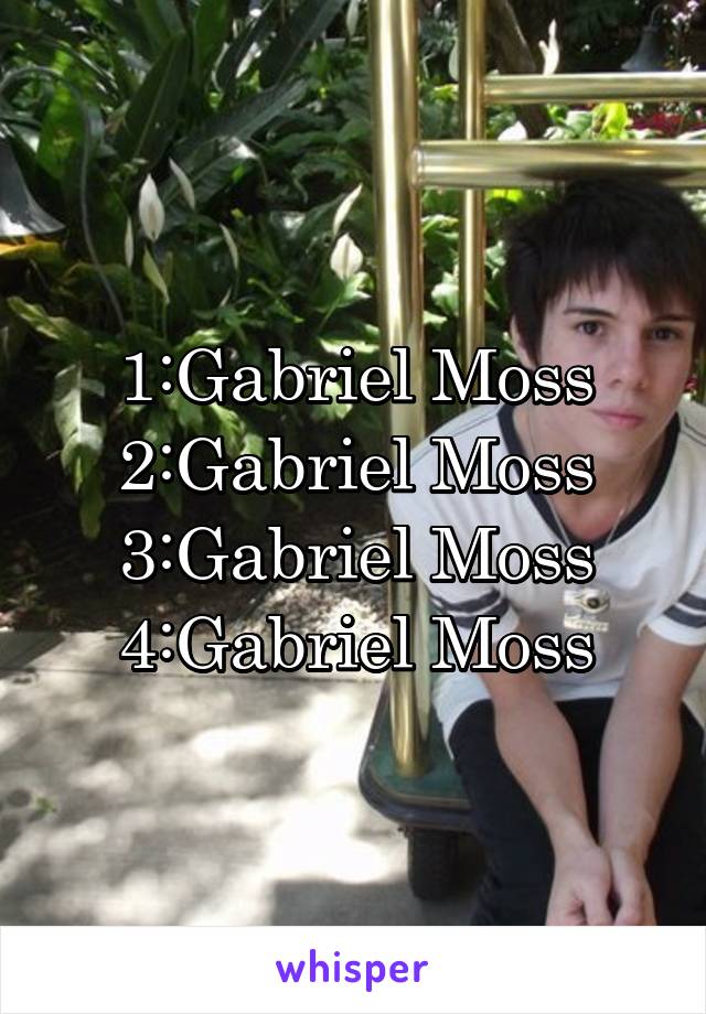 1:Gabriel Moss
2:Gabriel Moss
3:Gabriel Moss
4:Gabriel Moss