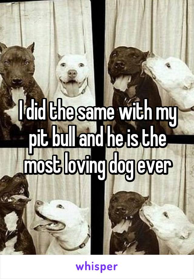 I did the same with my pit bull and he is the most loving dog ever