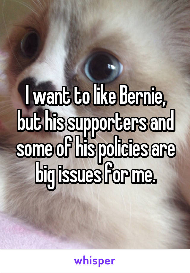 I want to like Bernie, but his supporters and some of his policies are big issues for me.