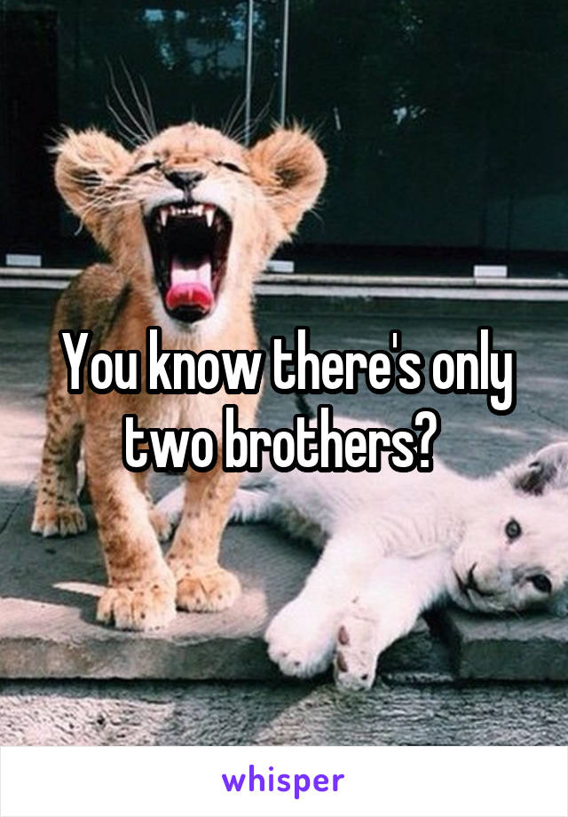 You know there's only two brothers? 