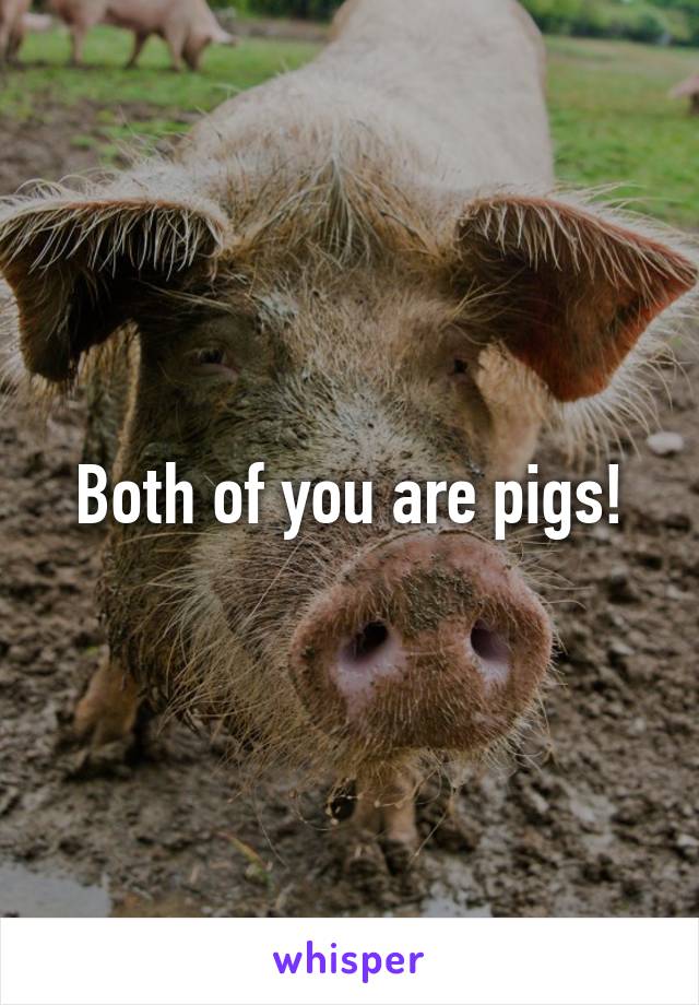 Both of you are pigs!