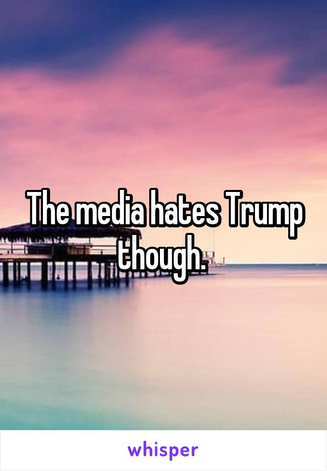 The media hates Trump though. 