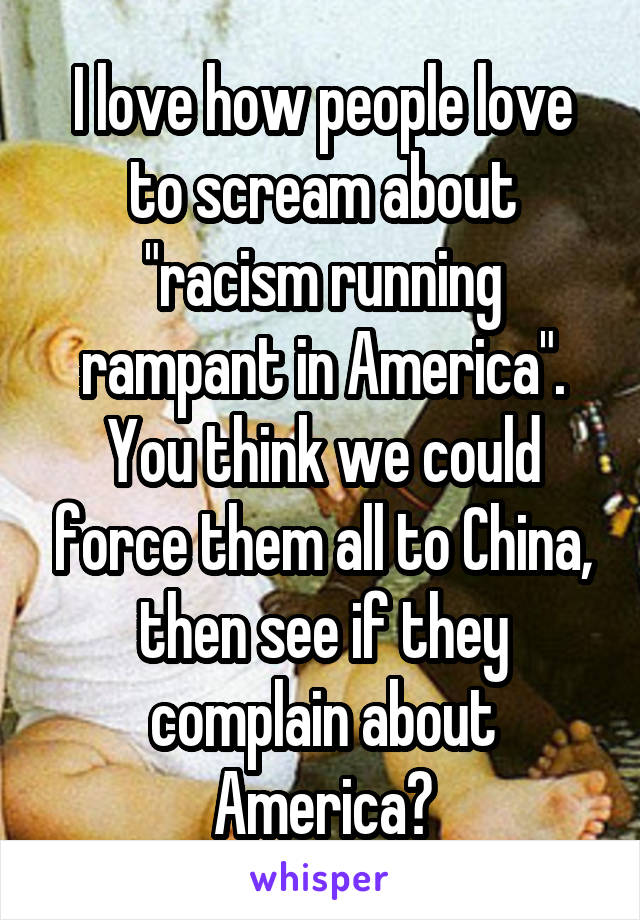I love how people love to scream about "racism running rampant in America". You think we could force them all to China, then see if they complain about America?