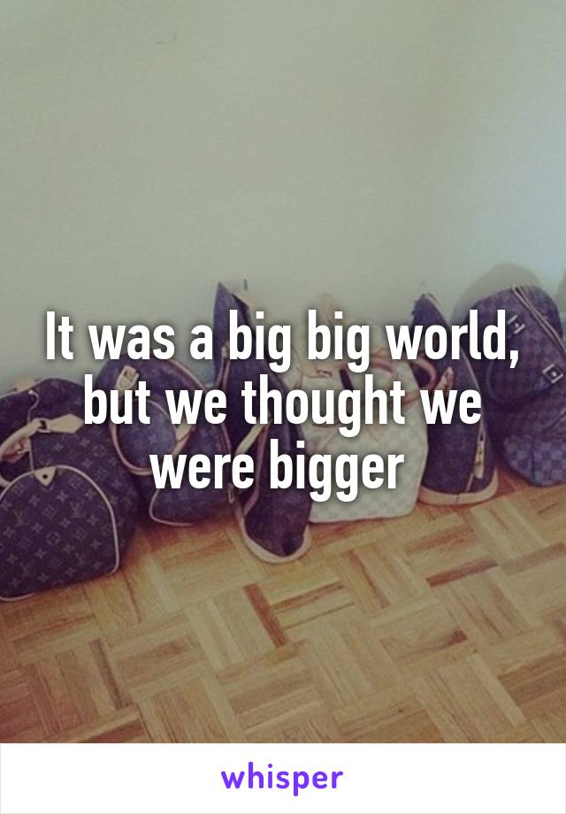 It was a big big world, but we thought we were bigger 