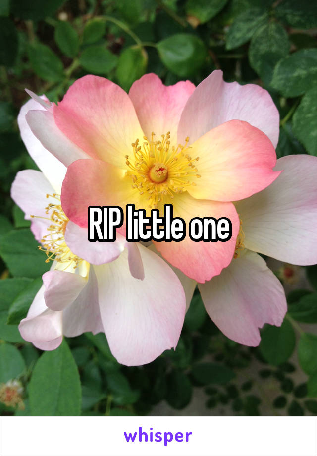 RIP little one