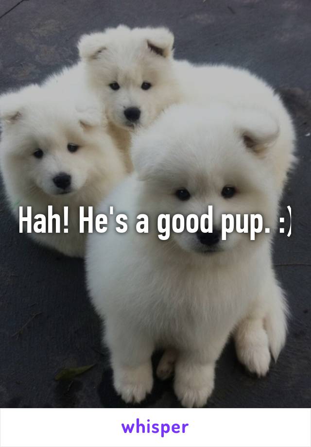 Hah! He's a good pup. :)