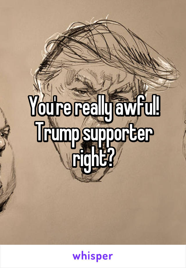 You're really awful! Trump supporter right?