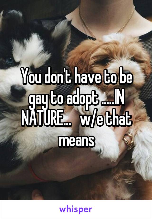 You don't have to be gay to adopt .....IN NATURE...   w/e that means