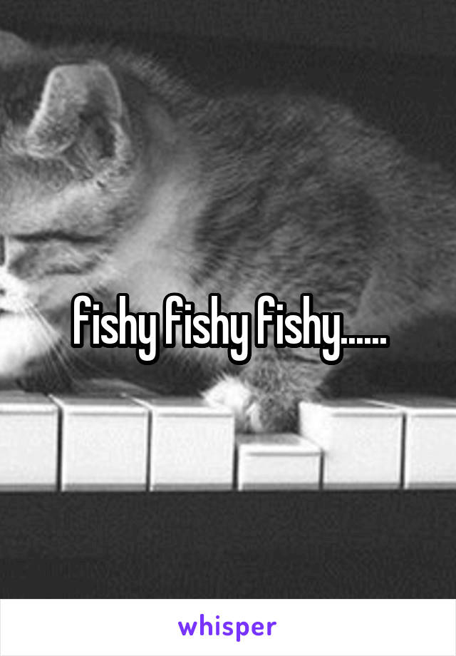 fishy fishy fishy......