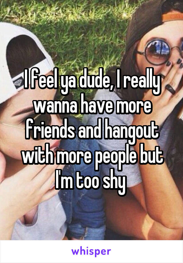 I feel ya dude, I really wanna have more friends and hangout with more people but I'm too shy 