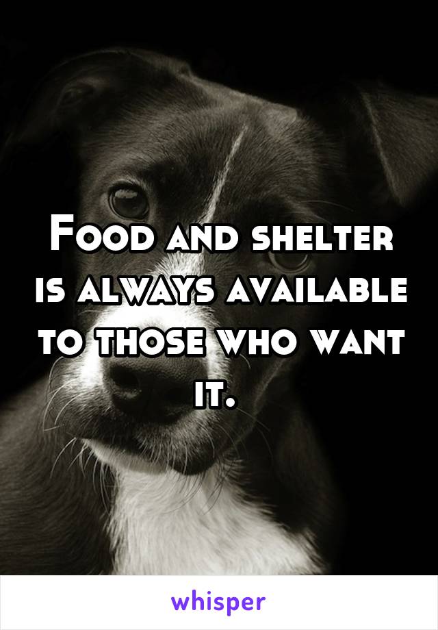 Food and shelter is always available to those who want it. 