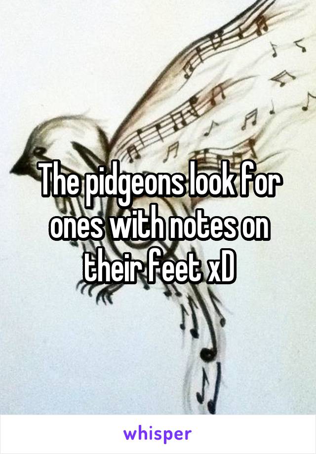 The pidgeons look for ones with notes on their feet xD