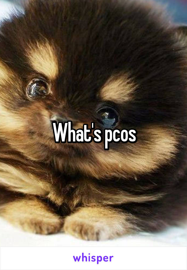 What's pcos