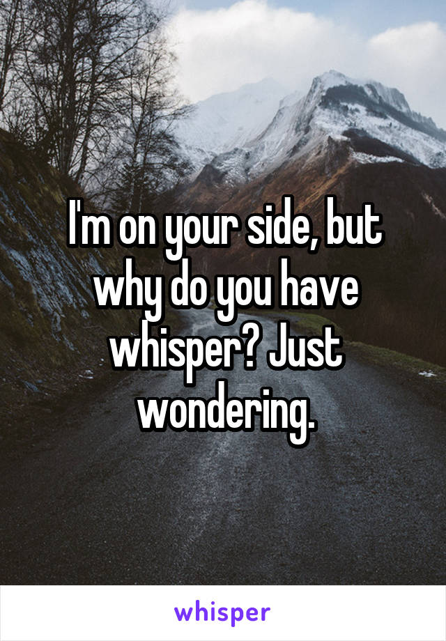 I'm on your side, but why do you have whisper? Just wondering.