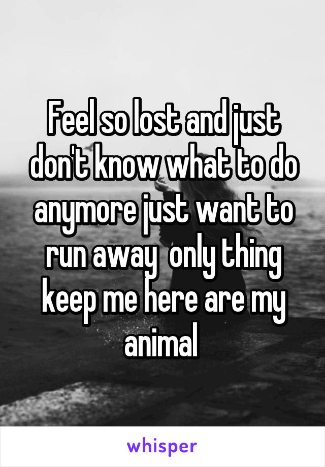 Feel so lost and just don't know what to do anymore just want to run away  only thing keep me here are my animal 