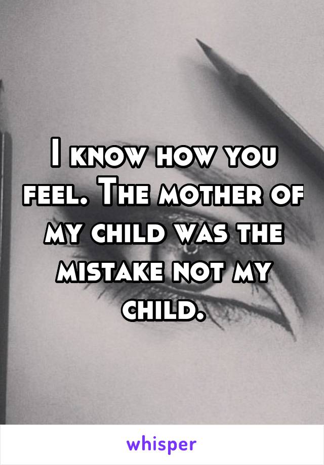 I know how you feel. The mother of my child was the mistake not my child.