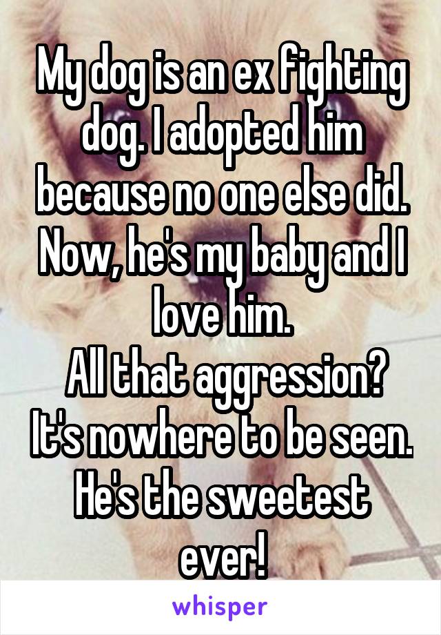 My dog is an ex fighting dog. I adopted him because no one else did.
Now, he's my baby and I love him.
 All that aggression? It's nowhere to be seen. He's the sweetest ever!