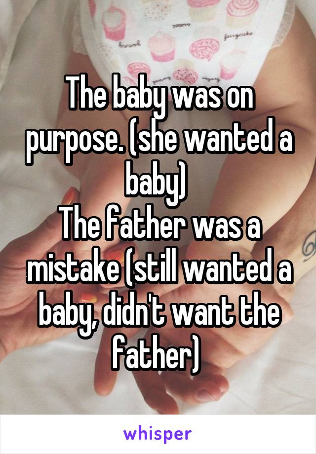 The baby was on purpose. (she wanted a baby) 
The father was a mistake (still wanted a baby, didn't want the father) 