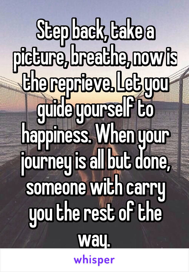 Step back, take a picture, breathe, now is the reprieve. Let you guide yourself to happiness. When your journey is all but done, someone with carry you the rest of the way. 