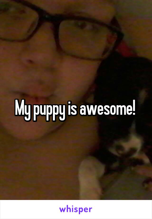 My puppy is awesome! 