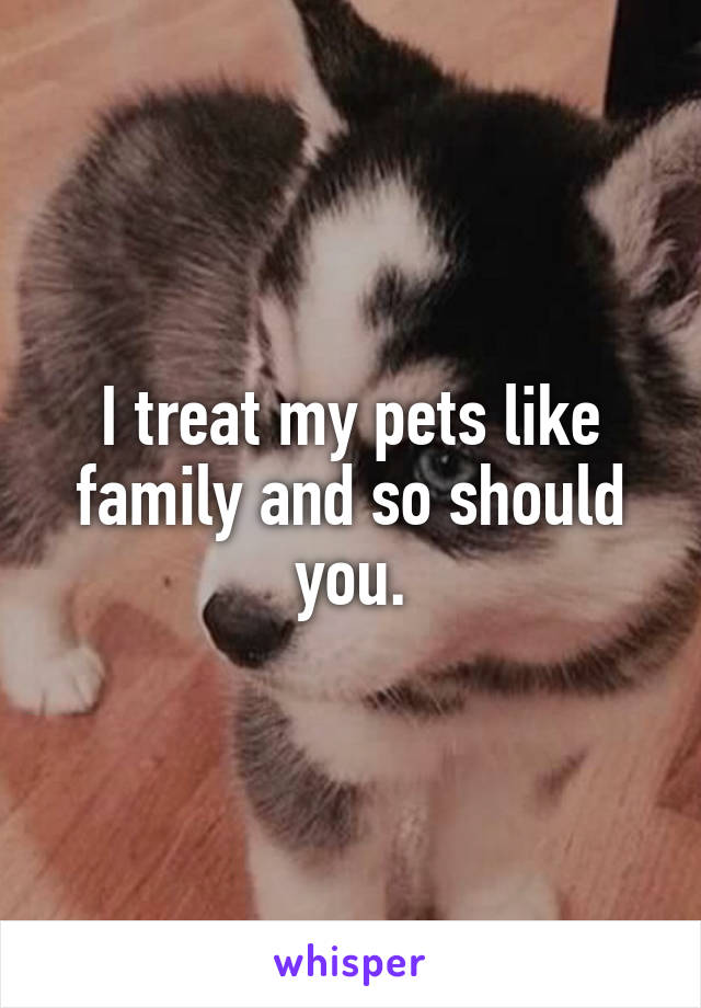 I treat my pets like family and so should you.