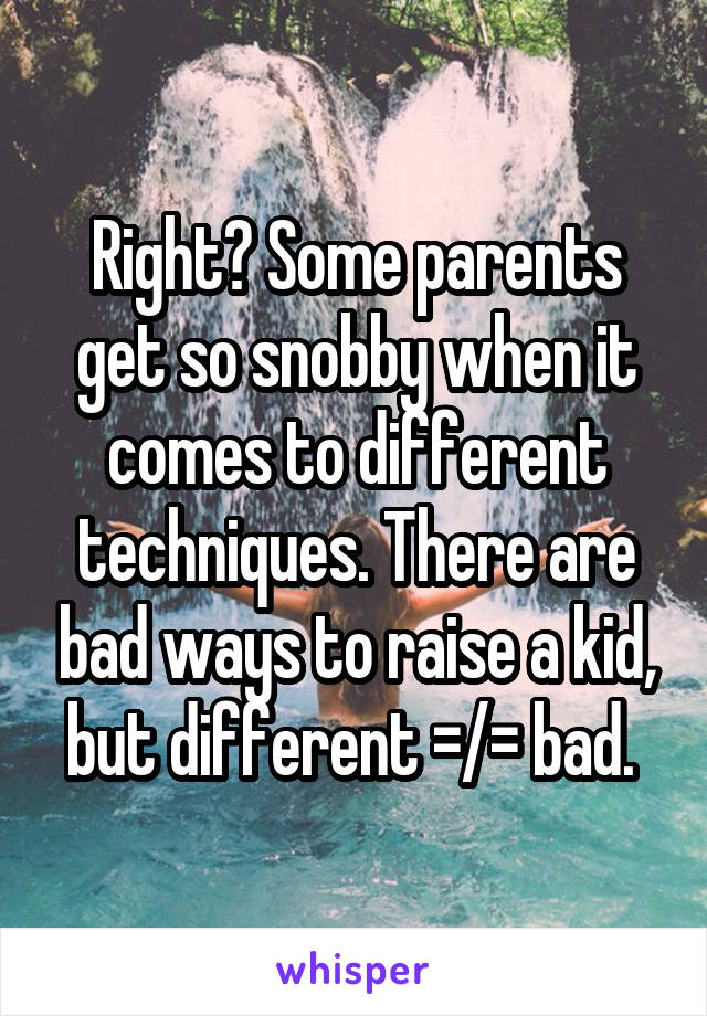 Right? Some parents get so snobby when it comes to different techniques. There are bad ways to raise a kid, but different =/= bad. 