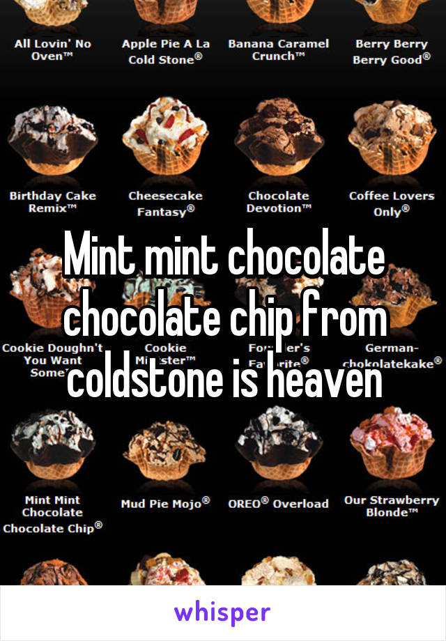 Mint mint chocolate chocolate chip from coldstone is heaven