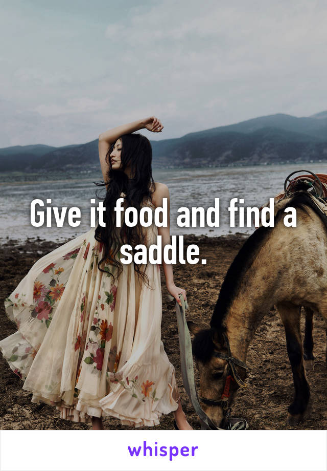 Give it food and find a saddle.