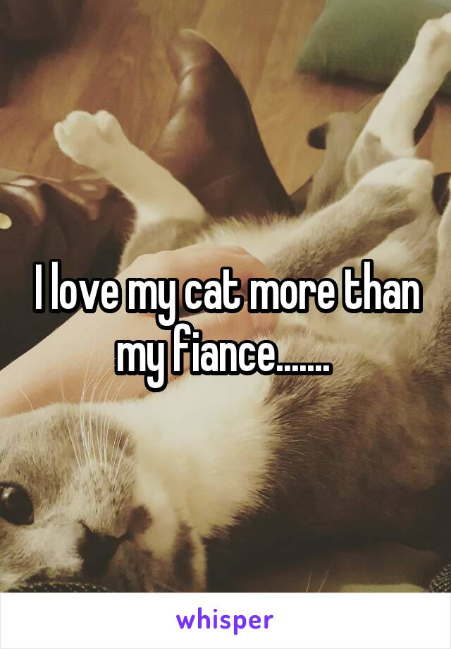 I love my cat more than my fiance....... 