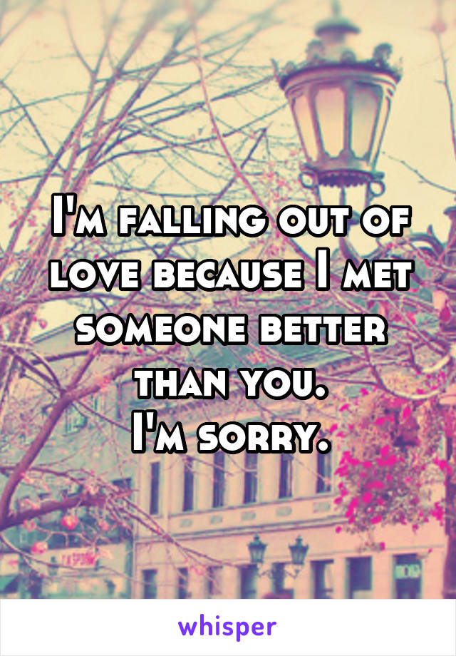 I'm falling out of love because I met someone better than you.
I'm sorry.