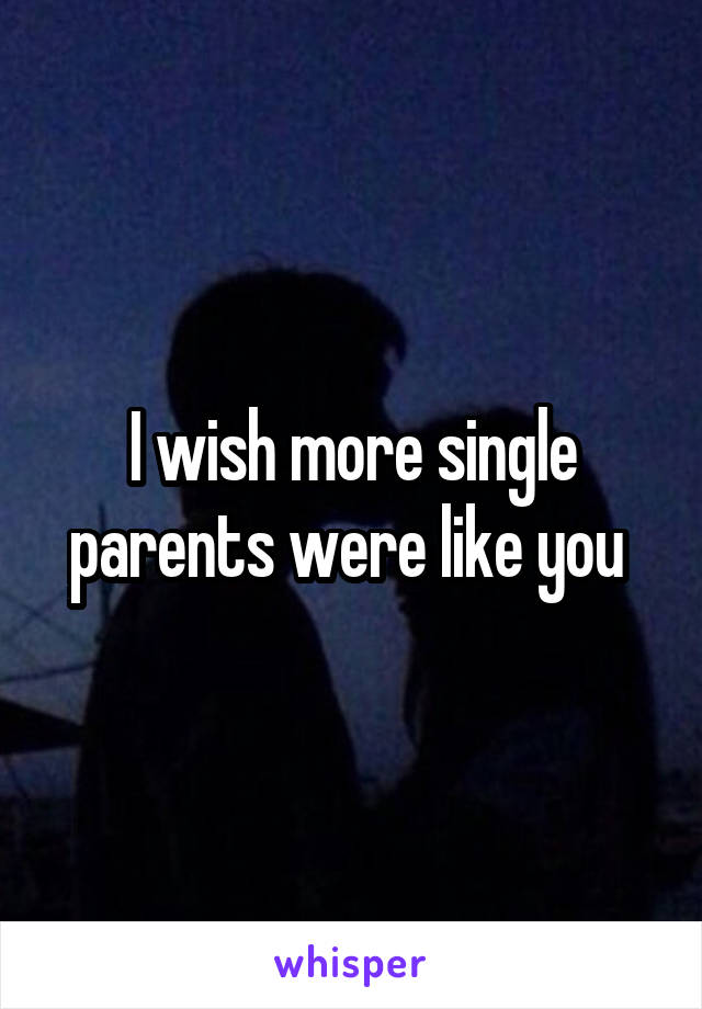 I wish more single parents were like you 