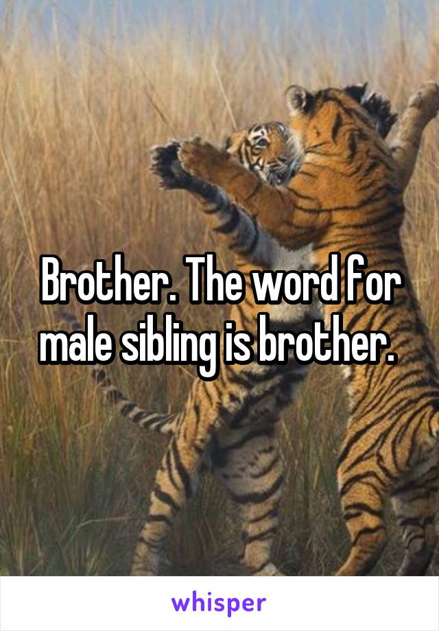 Brother. The word for male sibling is brother. 