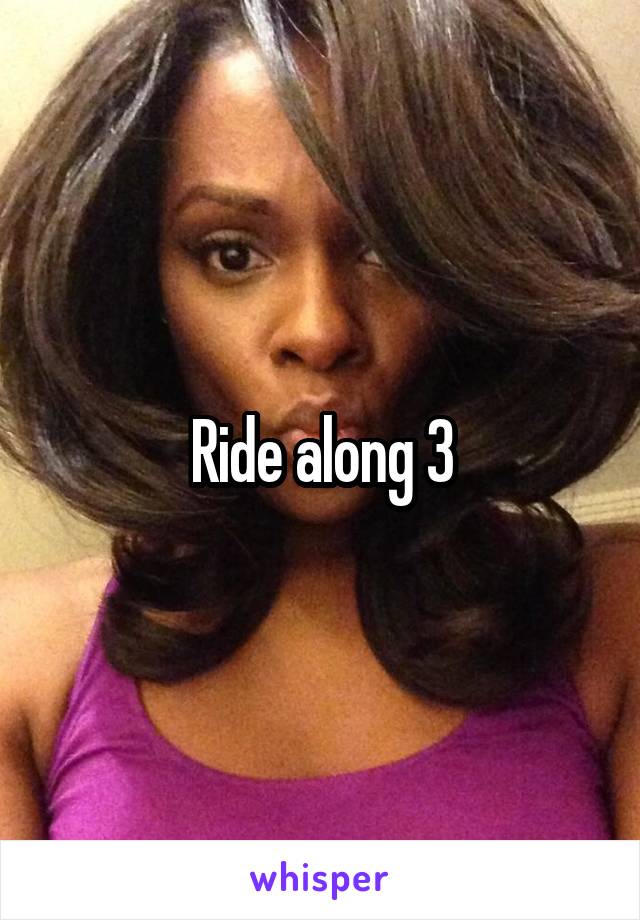 Ride along 3