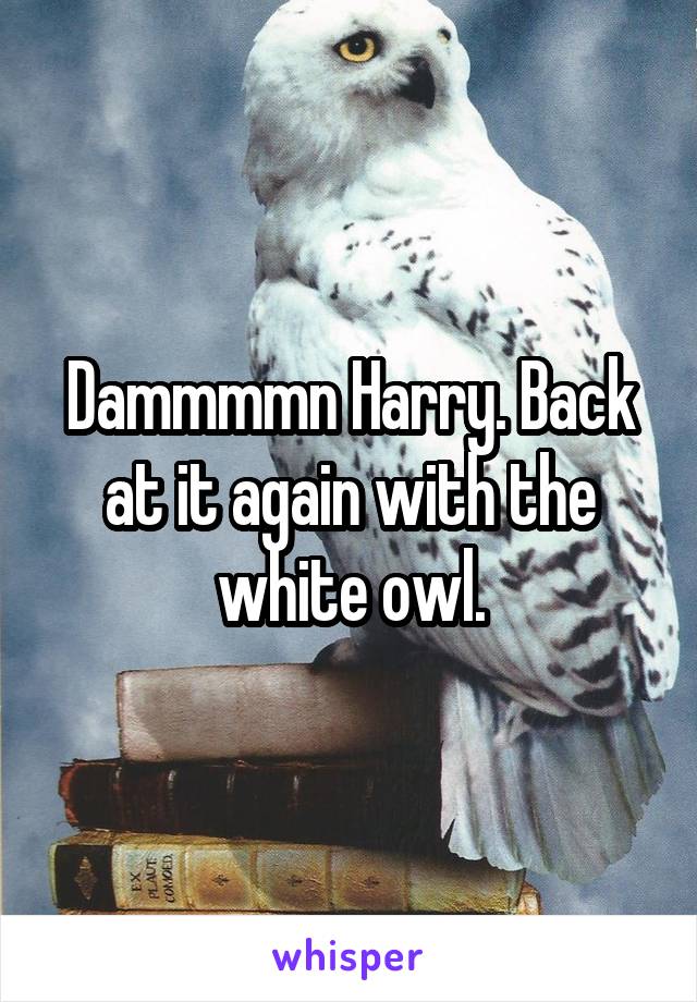 Dammmmn Harry. Back at it again with the white owl.