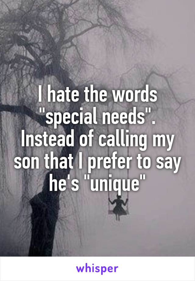 I hate the words "special needs". Instead of calling my son that I prefer to say he's "unique"