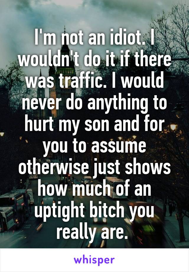 I'm not an idiot. I wouldn't do it if there was traffic. I would never do anything to hurt my son and for you to assume otherwise just shows how much of an uptight bitch you really are. 