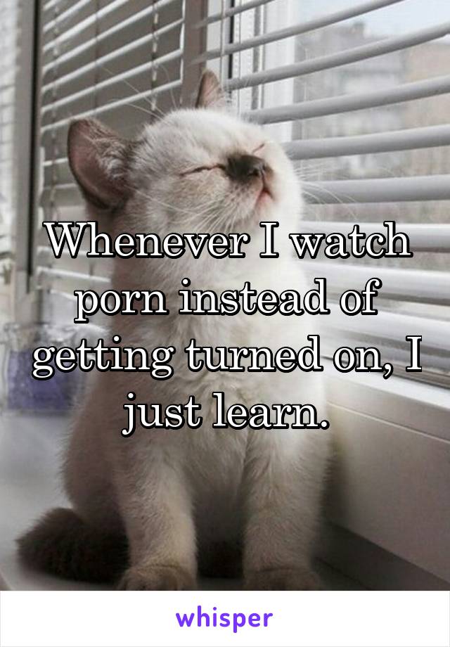 Whenever I watch porn instead of getting turned on, I just learn.