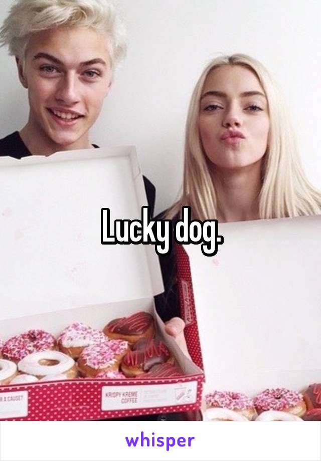 Lucky dog.