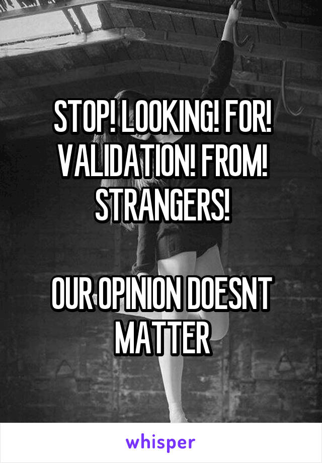 STOP! LOOKING! FOR! VALIDATION! FROM! STRANGERS!

OUR OPINION DOESNT MATTER