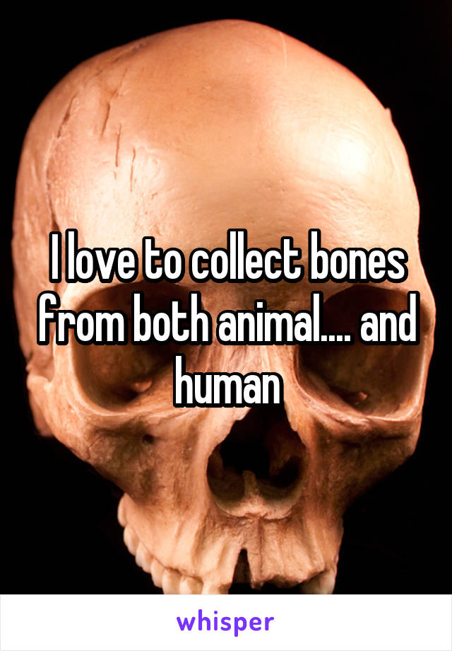 I love to collect bones from both animal.... and human