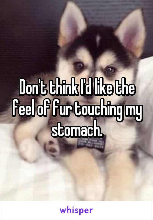 Don't think I'd like the feel of fur touching my stomach.
