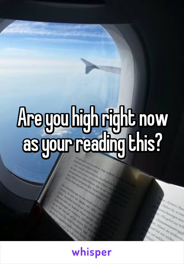 Are you high right now as your reading this?